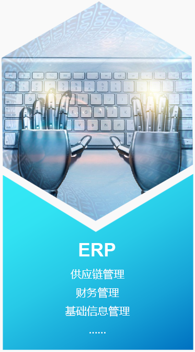 ERP